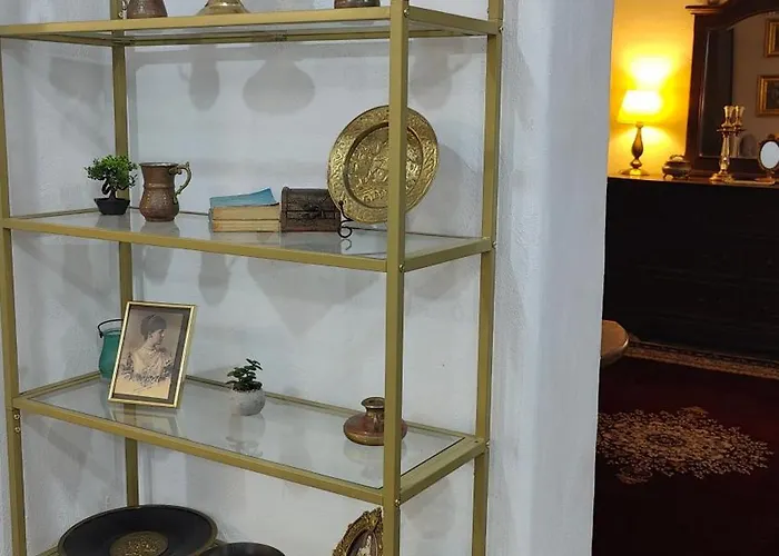 Centru- * 康斯坦察